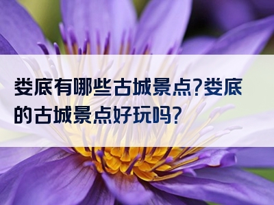 娄底有哪些古城景点？娄底的古城景点好玩吗？
