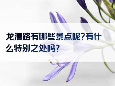 龙漕路有哪些景点呢？有什么特别之处吗？
