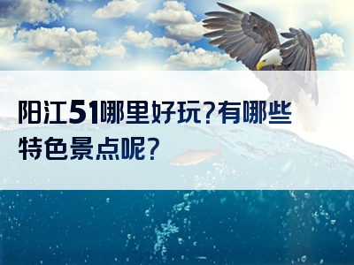 阳江51哪里好玩？有哪些特色景点呢？