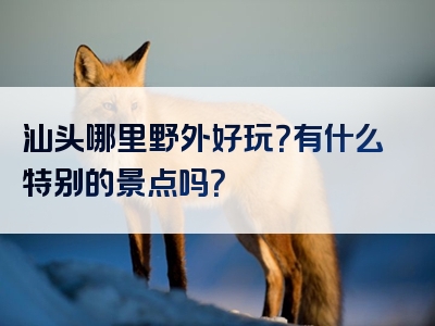 汕头哪里野外好玩？有什么特别的景点吗？