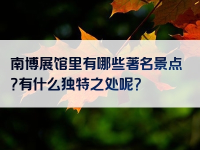 南博展馆里有哪些著名景点？有什么独特之处呢？