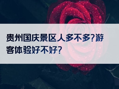 贵州国庆景区人多不多？游客体验好不好？
