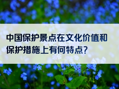 中国保护景点在文化价值和保护措施上有何特点？