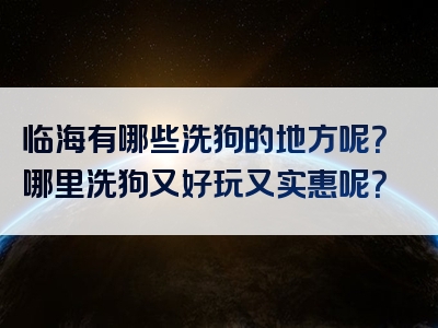 临海有哪些洗狗的地方呢？哪里洗狗又好玩又实惠呢？