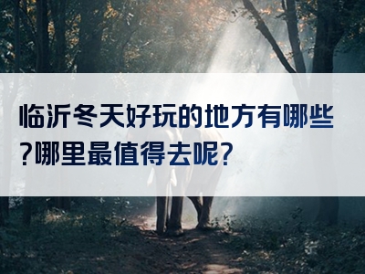 临沂冬天好玩的地方有哪些？哪里最值得去呢？