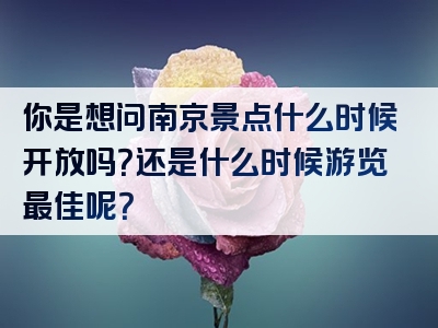 你是想问南京景点什么时候开放吗？还是什么时候游览最佳呢？