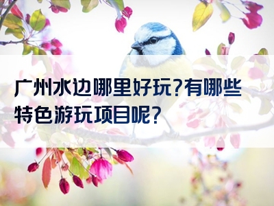 广州水边哪里好玩？有哪些特色游玩项目呢？