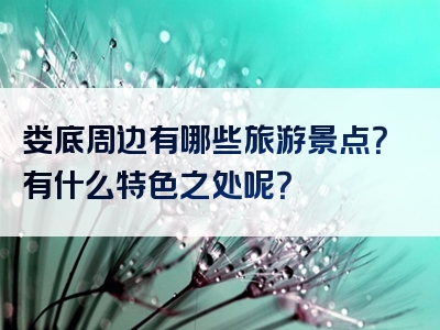 娄底周边有哪些旅游景点？有什么特色之处呢？