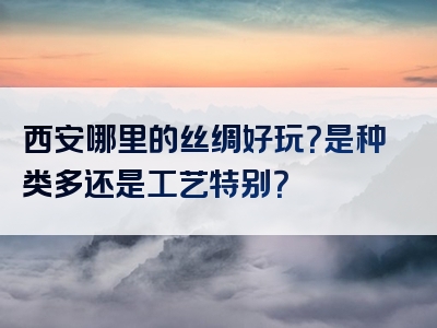 西安哪里的丝绸好玩？是种类多还是工艺特别？