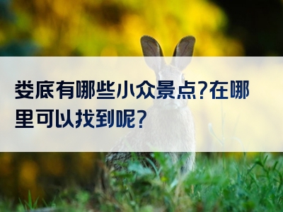 娄底有哪些小众景点？在哪里可以找到呢？