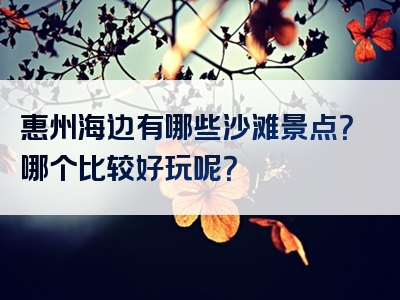惠州海边有哪些沙滩景点？哪个比较好玩呢？
