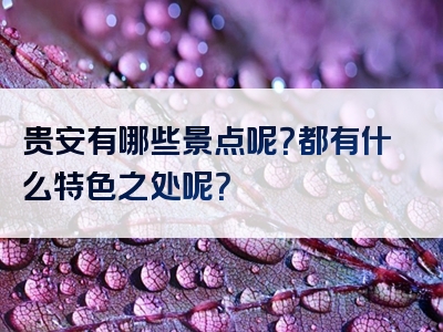 贵安有哪些景点呢？都有什么特色之处呢？