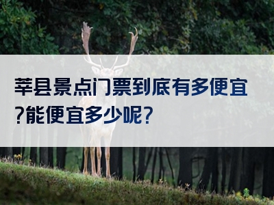 莘县景点门票到底有多便宜？能便宜多少呢？