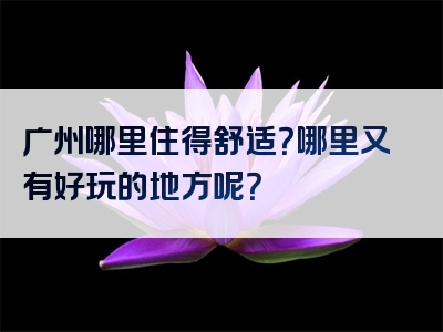 广州哪里住得舒适？哪里又有好玩的地方呢？