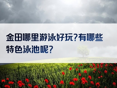 金田哪里游泳好玩？有哪些特色泳池呢？