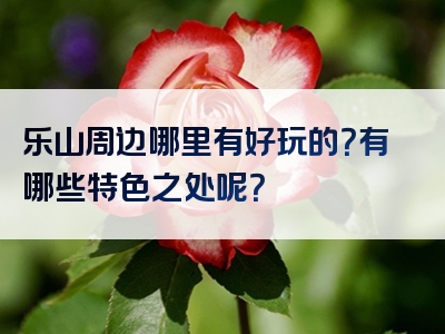 乐山周边哪里有好玩的？有哪些特色之处呢？