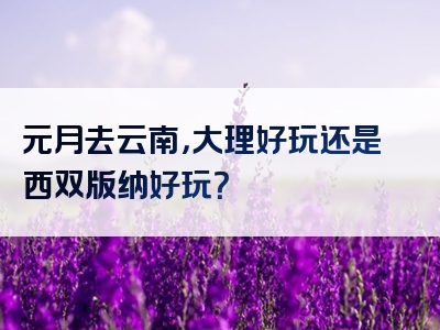 元月去云南，大理好玩还是西双版纳好玩？