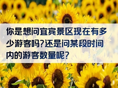 你是想问宜宾景区现在有多少游客吗？还是问某段时间内的游客数量呢？