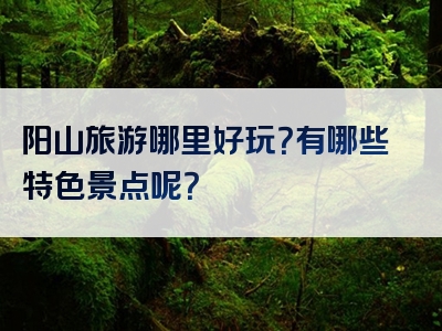 阳山旅游哪里好玩？有哪些特色景点呢？