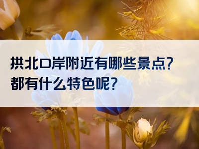 拱北口岸附近有哪些景点？都有什么特色呢？