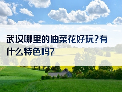 武汉哪里的油菜花好玩？有什么特色吗？