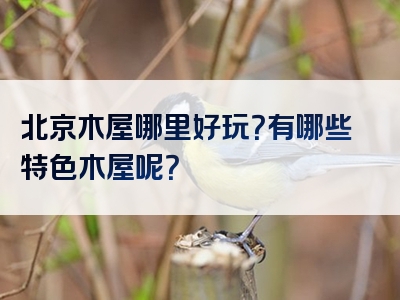 北京木屋哪里好玩？有哪些特色木屋呢？