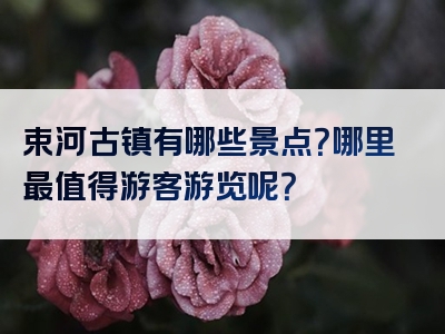 束河古镇有哪些景点？哪里最值得游客游览呢？