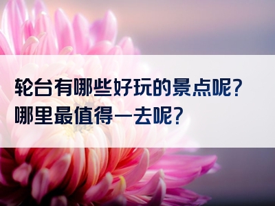 轮台有哪些好玩的景点呢？哪里最值得一去呢？