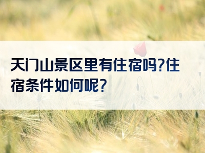 天门山景区里有住宿吗？住宿条件如何呢？