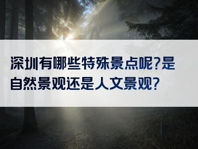 深圳有哪些特殊景点呢？是自然景观还是人文景观？