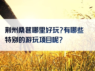荆州桑葚哪里好玩？有哪些特别的游玩项目呢？