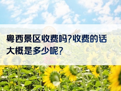 粤西景区收费吗？收费的话大概是多少呢？