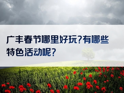 广丰春节哪里好玩？有哪些特色活动呢？