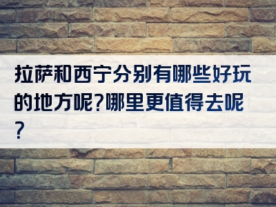 拉萨和西宁分别有哪些好玩的地方呢？哪里更值得去呢？
