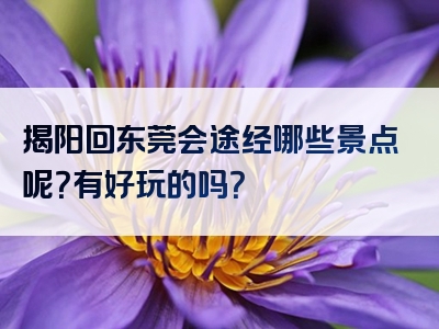 揭阳回东莞会途经哪些景点呢？有好玩的吗？