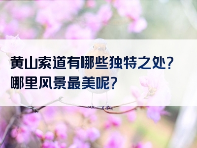 黄山索道有哪些独特之处？哪里风景最美呢？