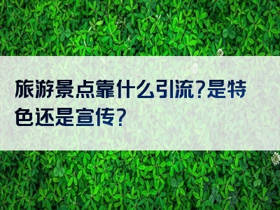 旅游景点靠什么引流？是特色还是宣传？