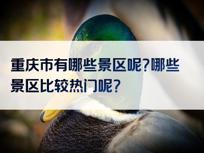 重庆市有哪些景区呢？哪些景区比较热门呢？