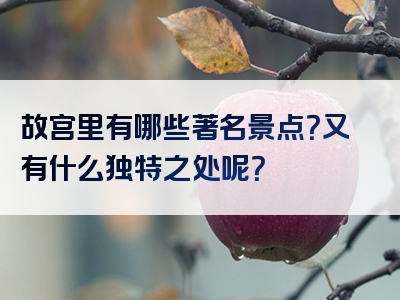 故宫里有哪些著名景点？又有什么独特之处呢？