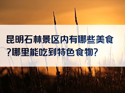 昆明石林景区内有哪些美食？哪里能吃到特色食物？