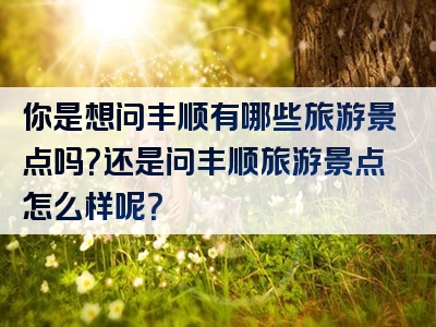 你是想问丰顺有哪些旅游景点吗？还是问丰顺旅游景点怎么样呢？