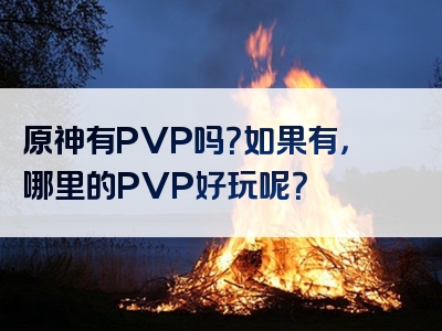 原神有PVP吗？如果有，哪里的PVP好玩呢？