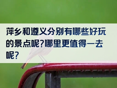 萍乡和遵义分别有哪些好玩的景点呢？哪里更值得一去呢？