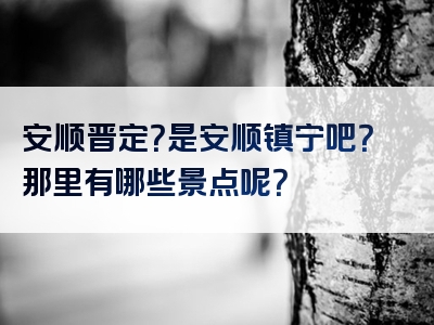 安顺晋定？是安顺镇宁吧？那里有哪些景点呢？