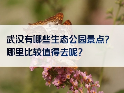 武汉有哪些生态公园景点？哪里比较值得去呢？