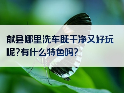 献县哪里洗车既干净又好玩呢？有什么特色吗？