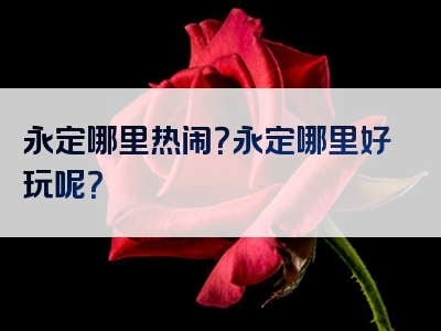 永定哪里热闹？永定哪里好玩呢？