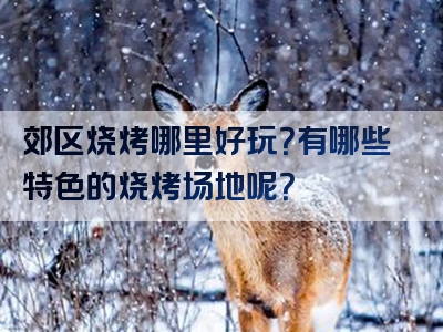 郊区烧烤哪里好玩？有哪些特色的烧烤场地呢？