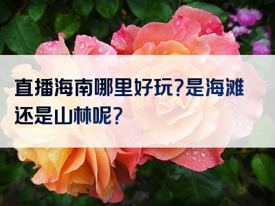直播海南哪里好玩？是海滩还是山林呢？