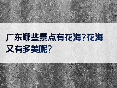 广东哪些景点有花海？花海又有多美呢？